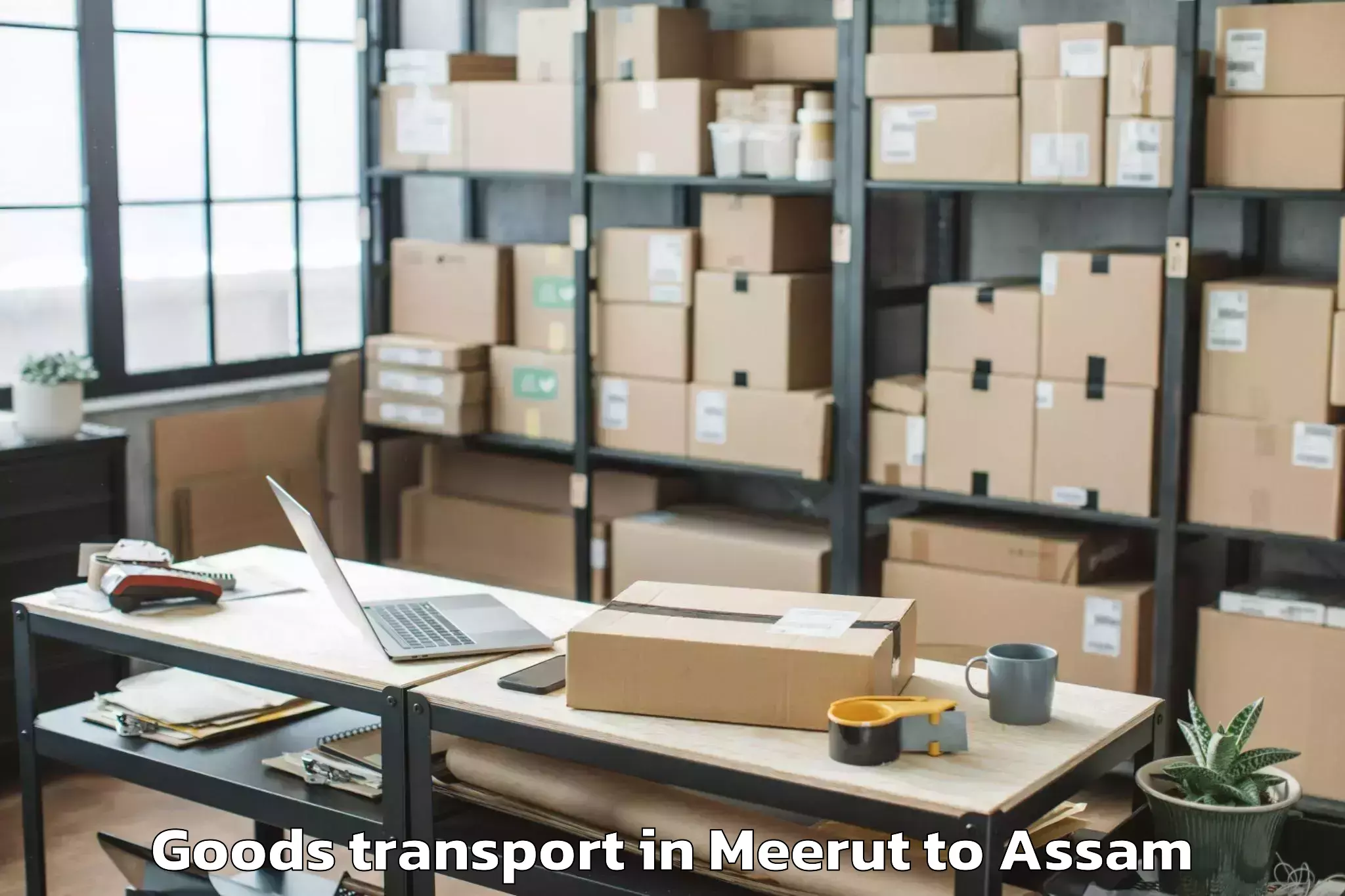 Comprehensive Meerut to Dum Duma Goods Transport